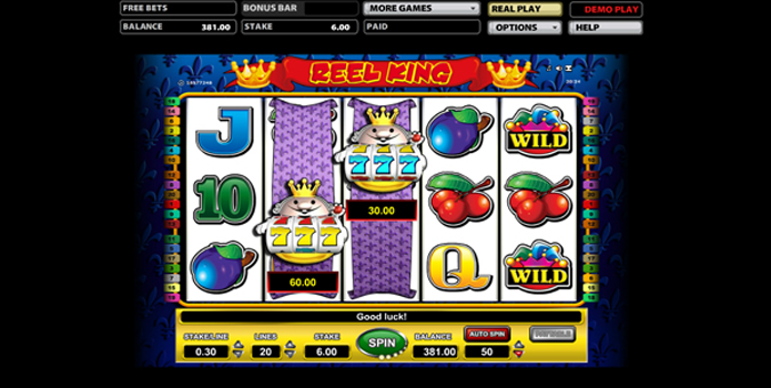 Reel King Online Slot